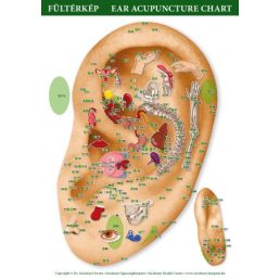Fültérkép A4-es méretben